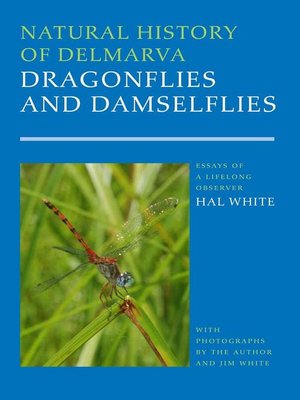 cover image of Natural History of Delmarva Dragonflies and Damselflies